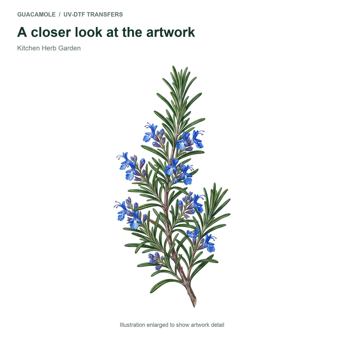 Kitchen Herb Garden — Artwork detail