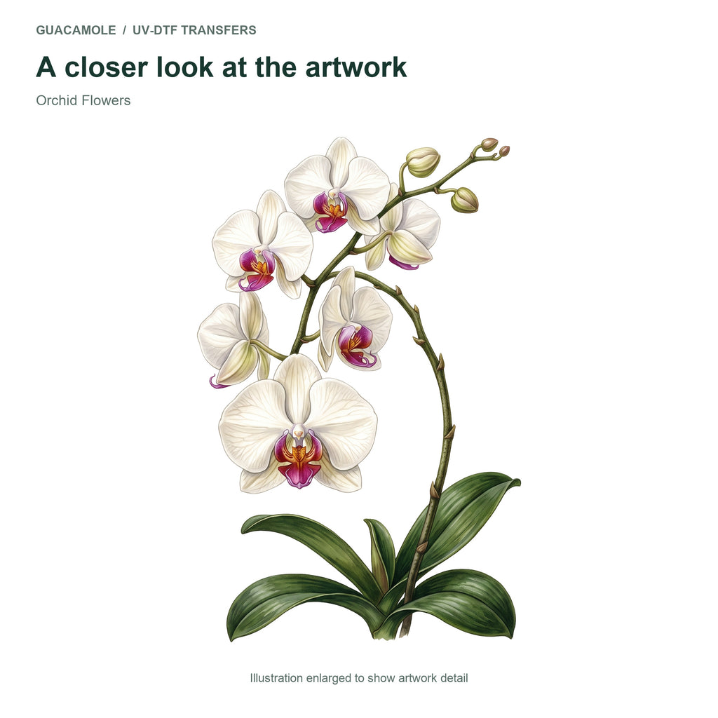 Orchid Flowers — Artwork detail