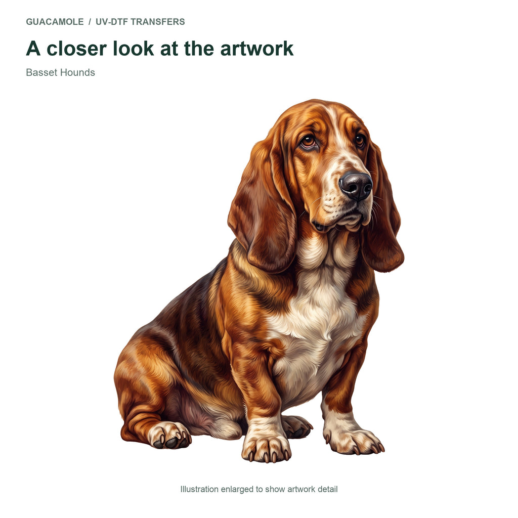 Basset Hounds — Artwork detail