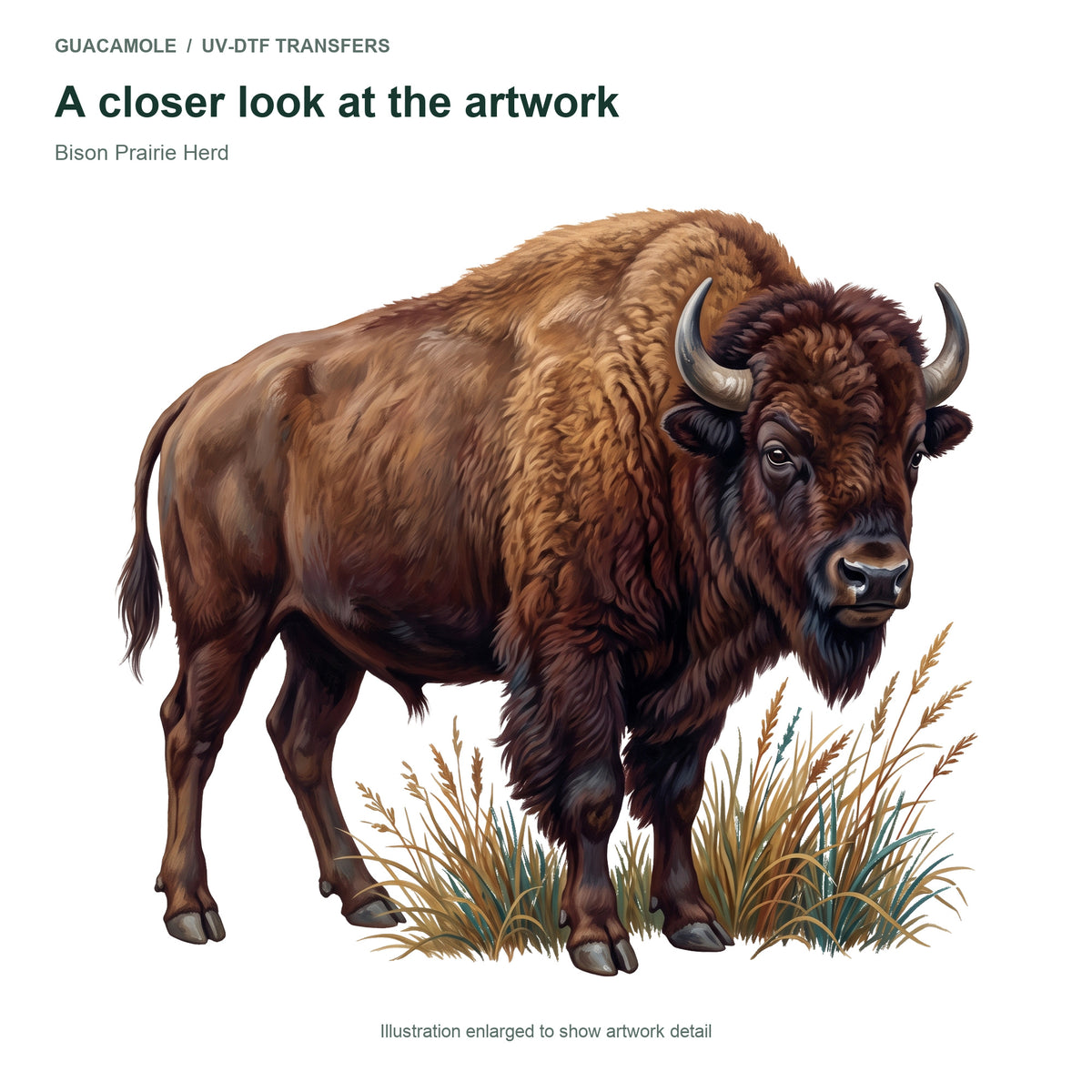 Bison Prairie Herd — Artwork detail