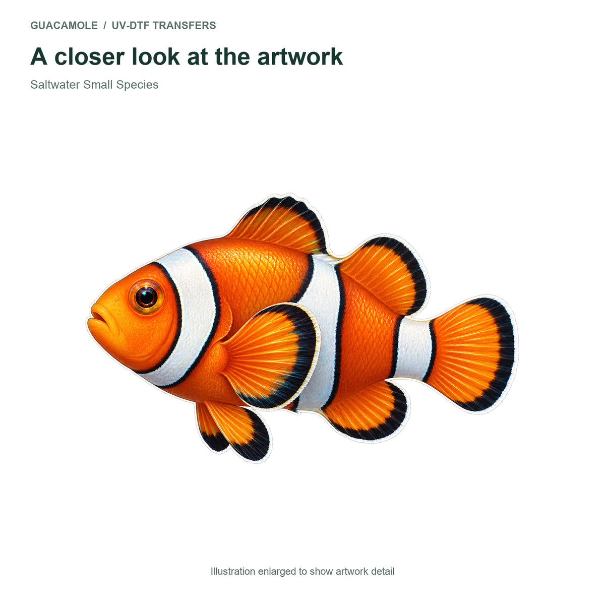 Saltwater Small Species — Artwork detail