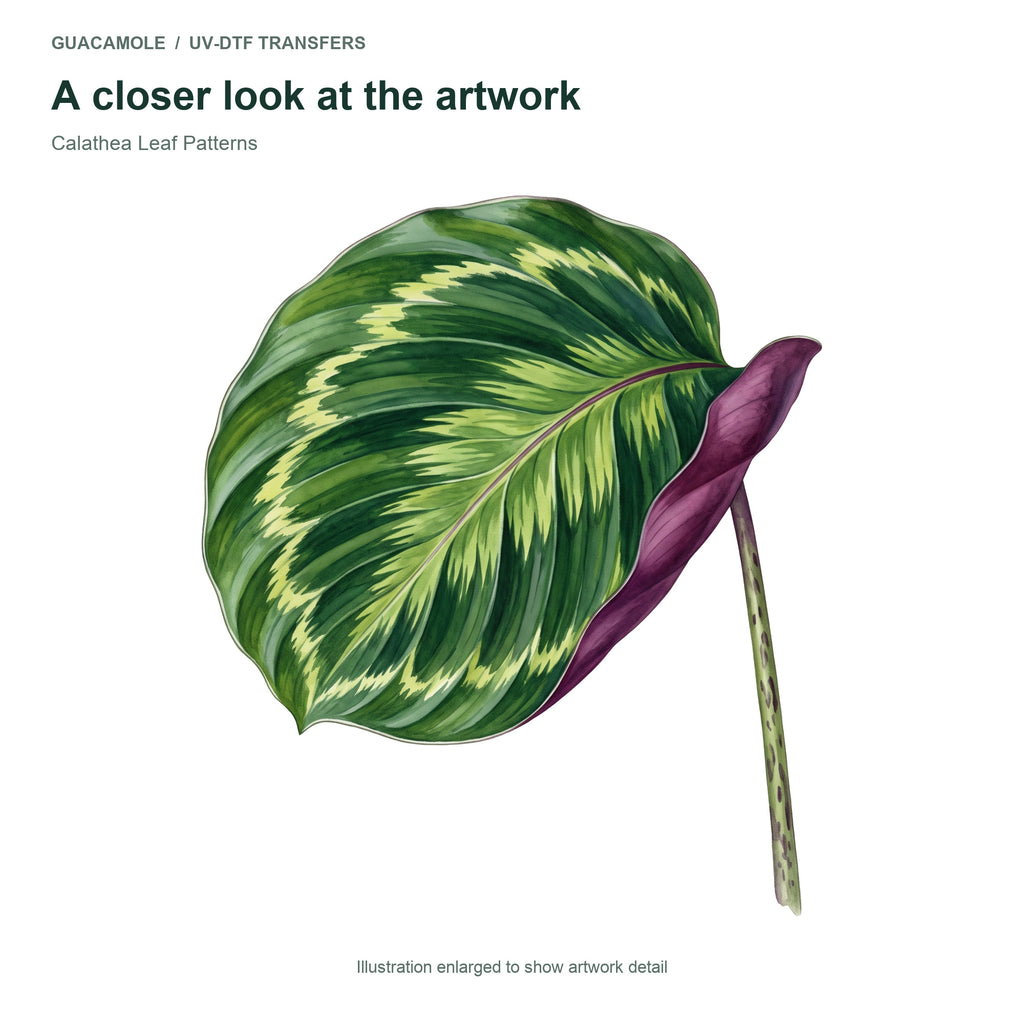 Calathea Leaf Patterns — Artwork detail