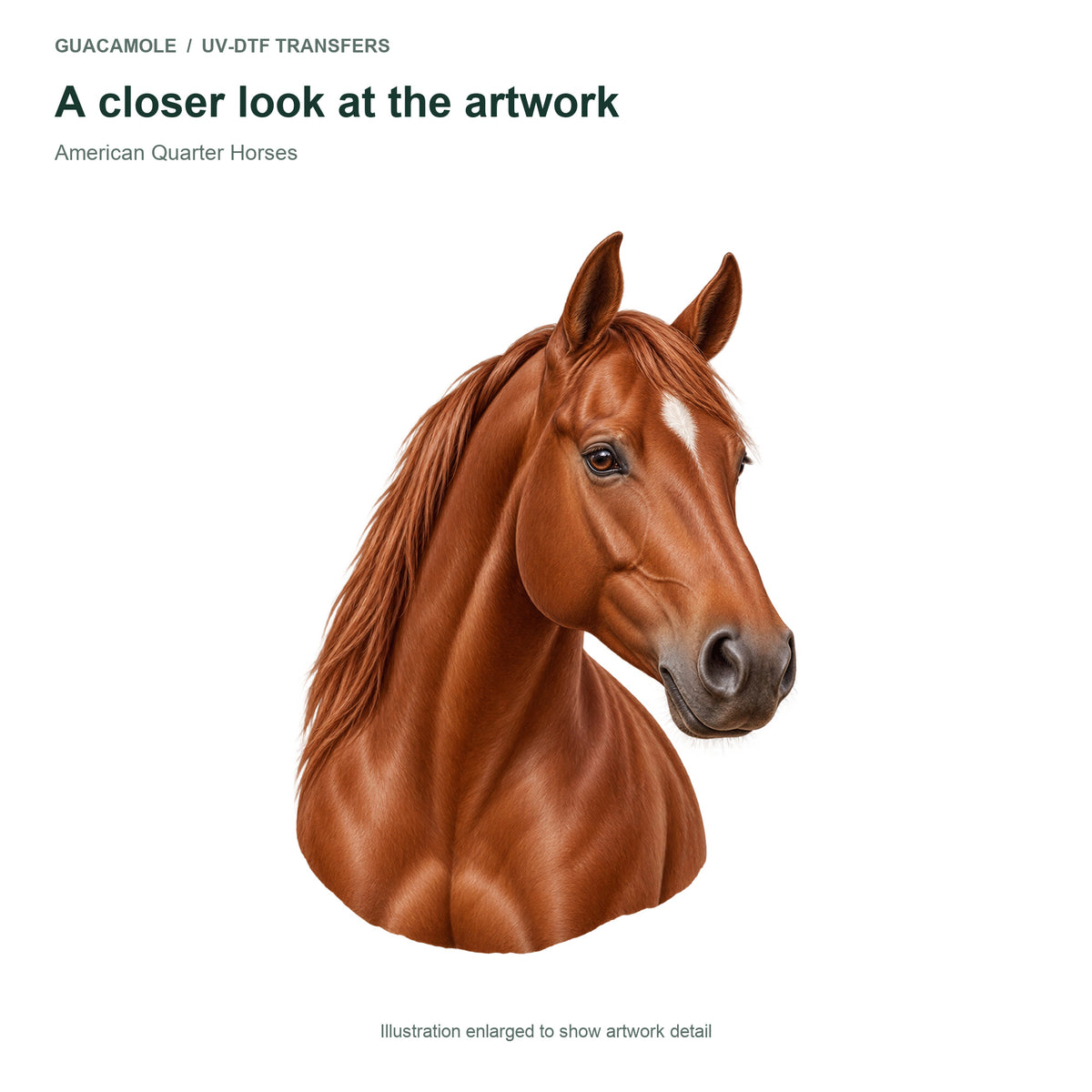 American Quarter Horses — Artwork detail