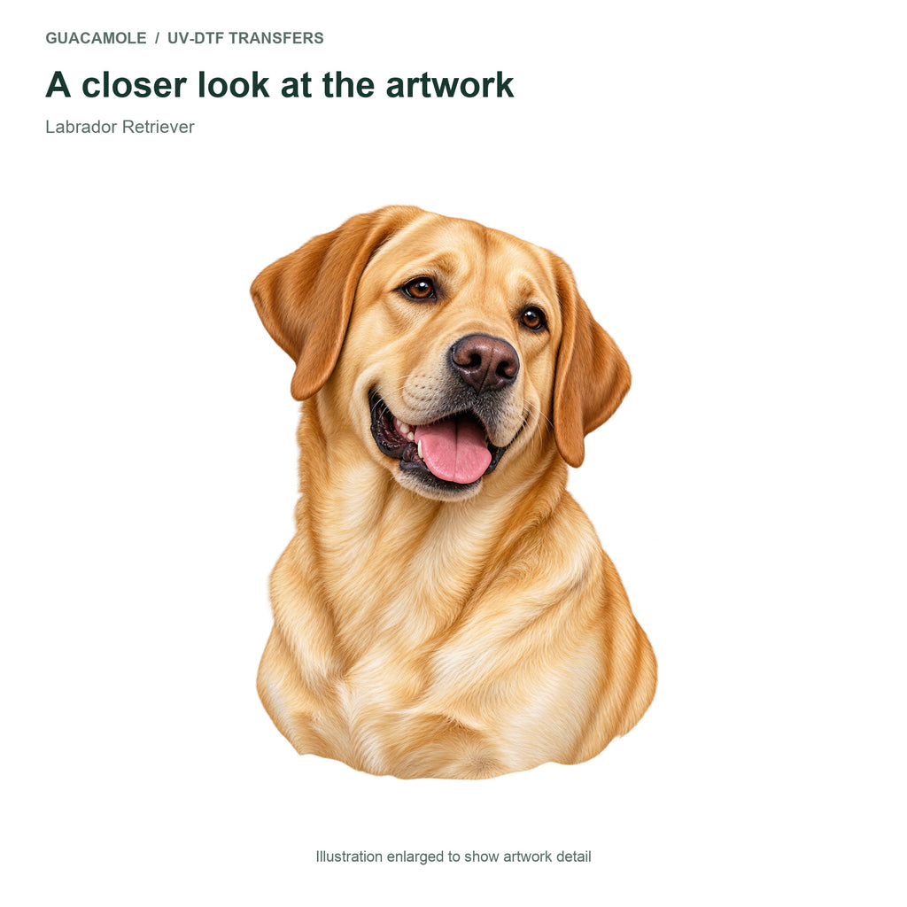 Labrador Retriever — Artwork detail