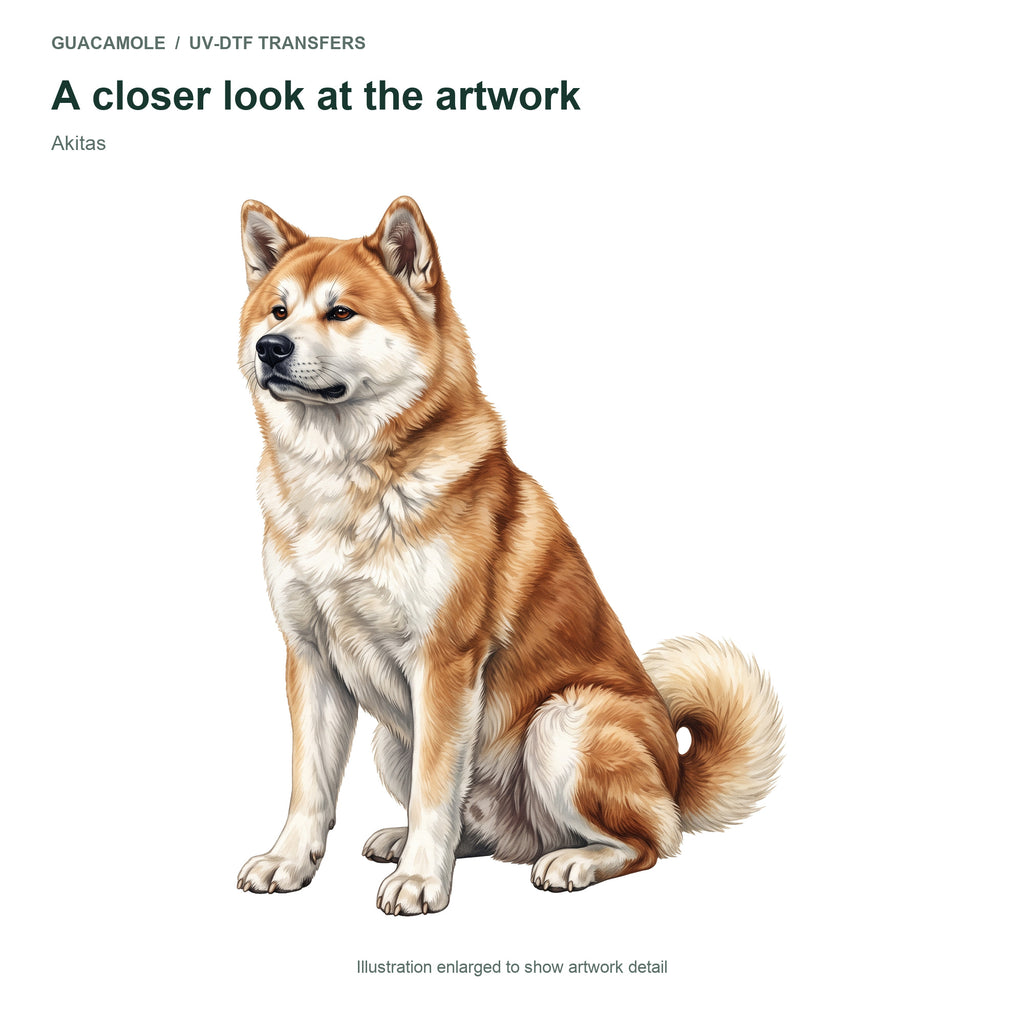 Akitas — Artwork detail