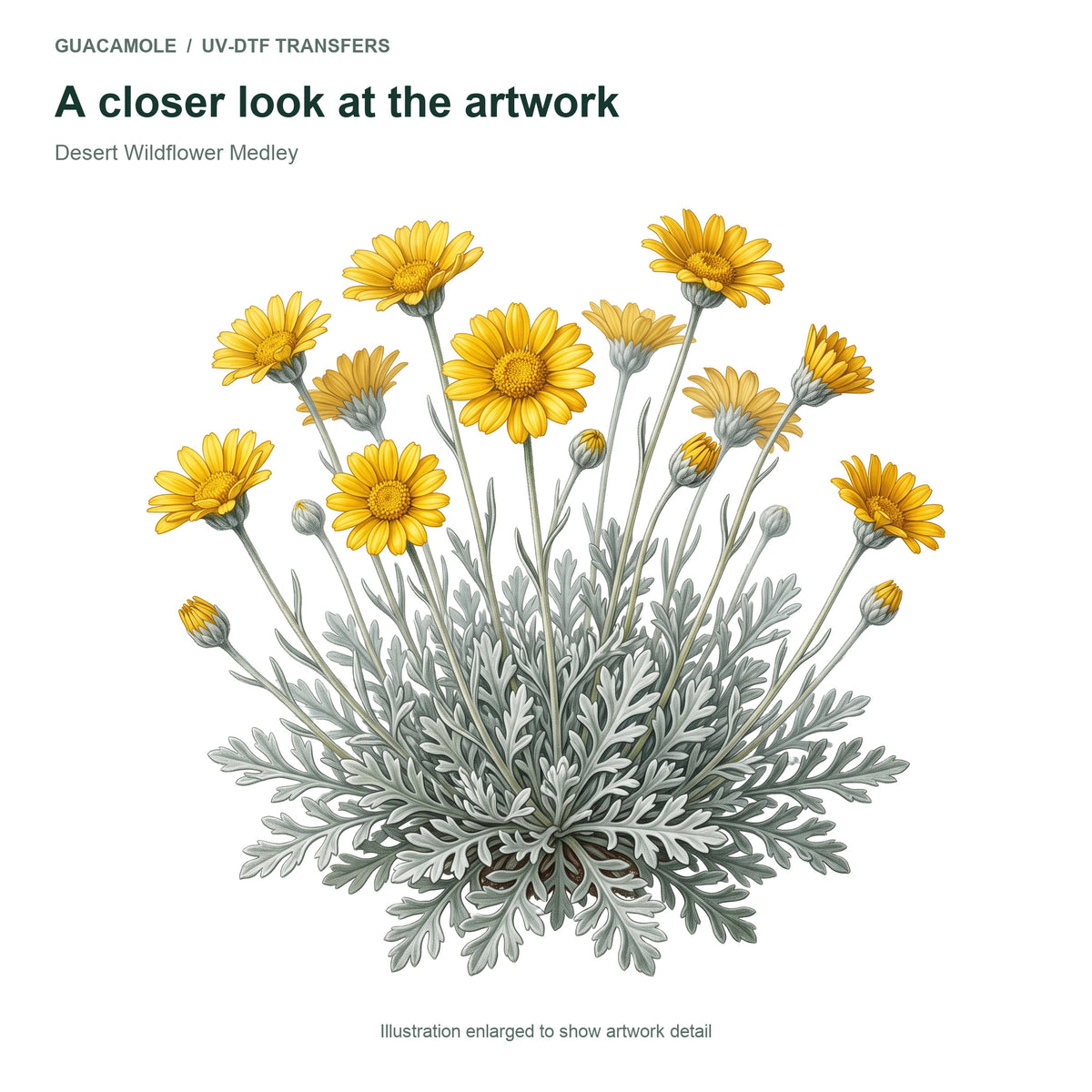 Desert Wildflower Medley — Artwork detail