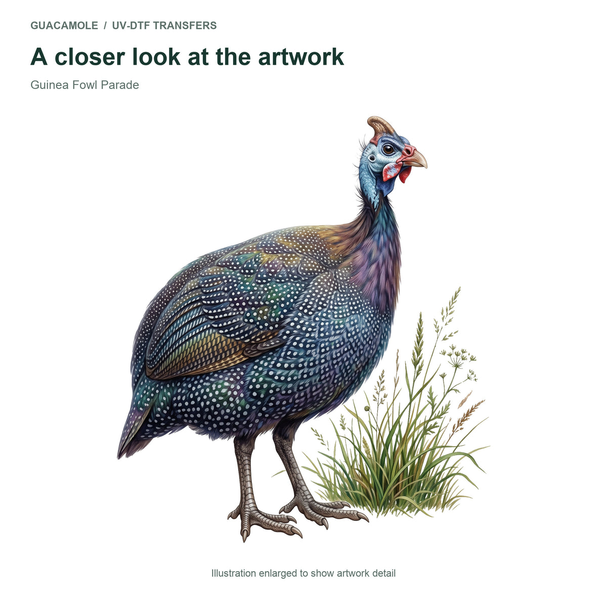 Guinea Fowl Parade — Artwork detail