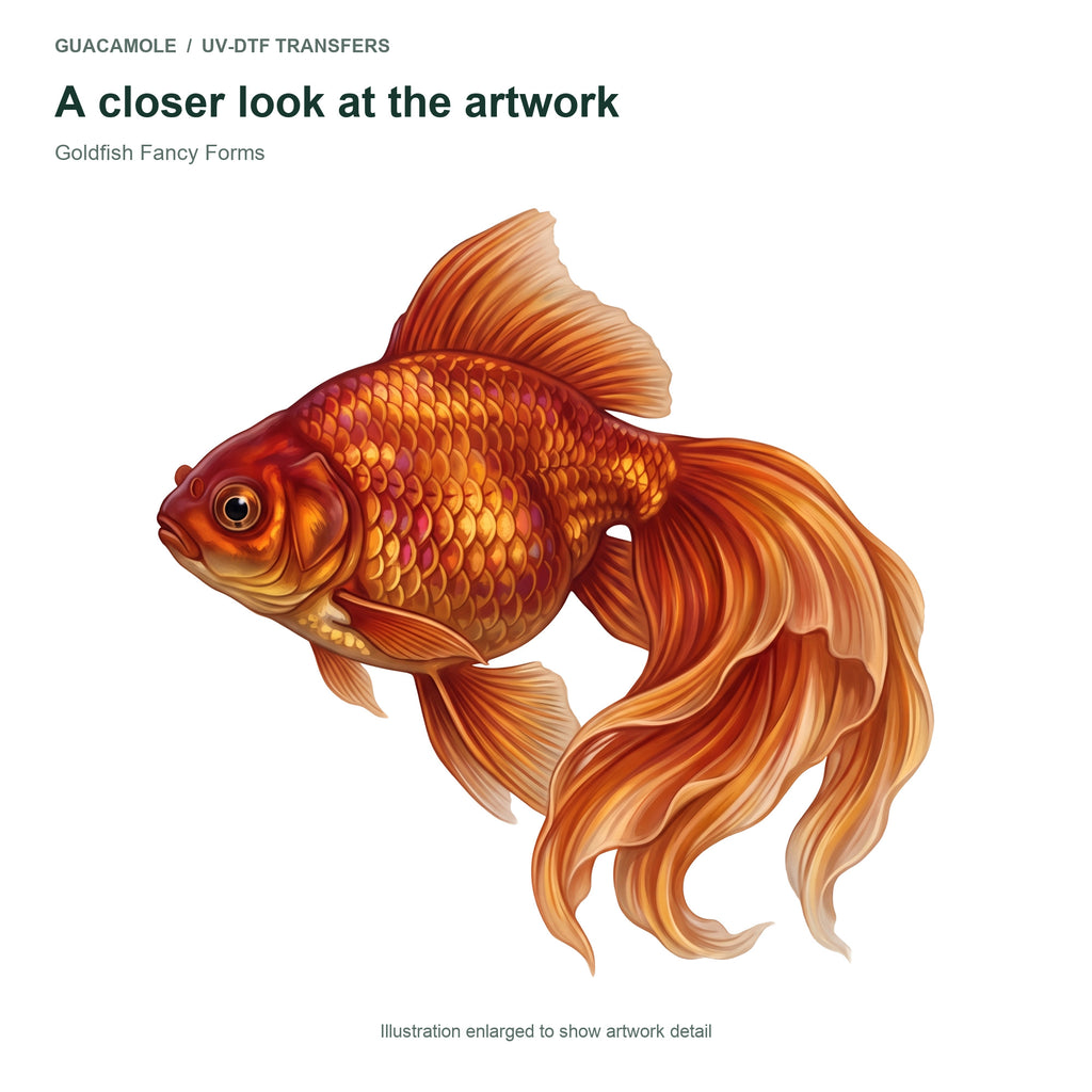 Goldfish Fancy Forms — Artwork detail