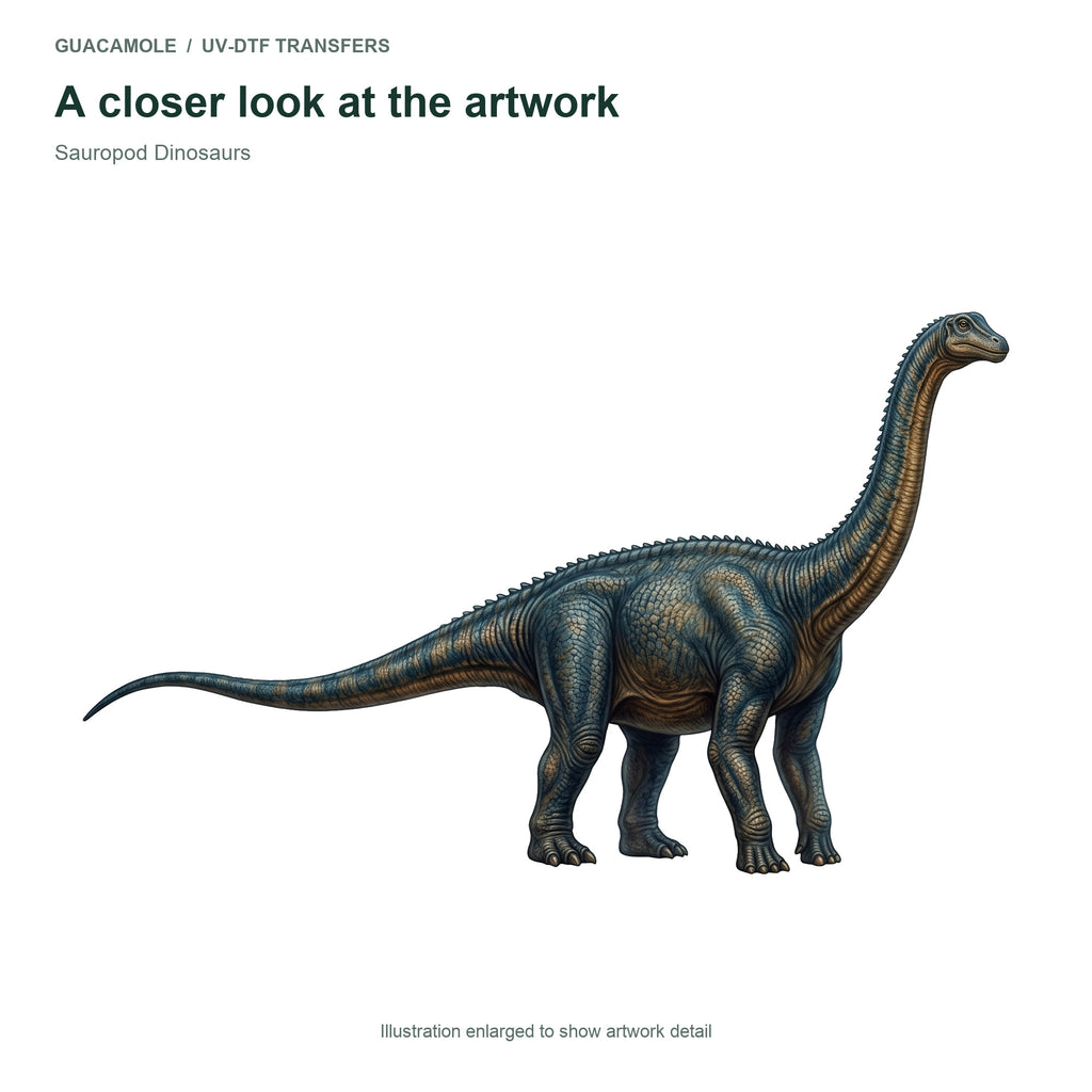 Sauropod Dinosaurs — Artwork detail