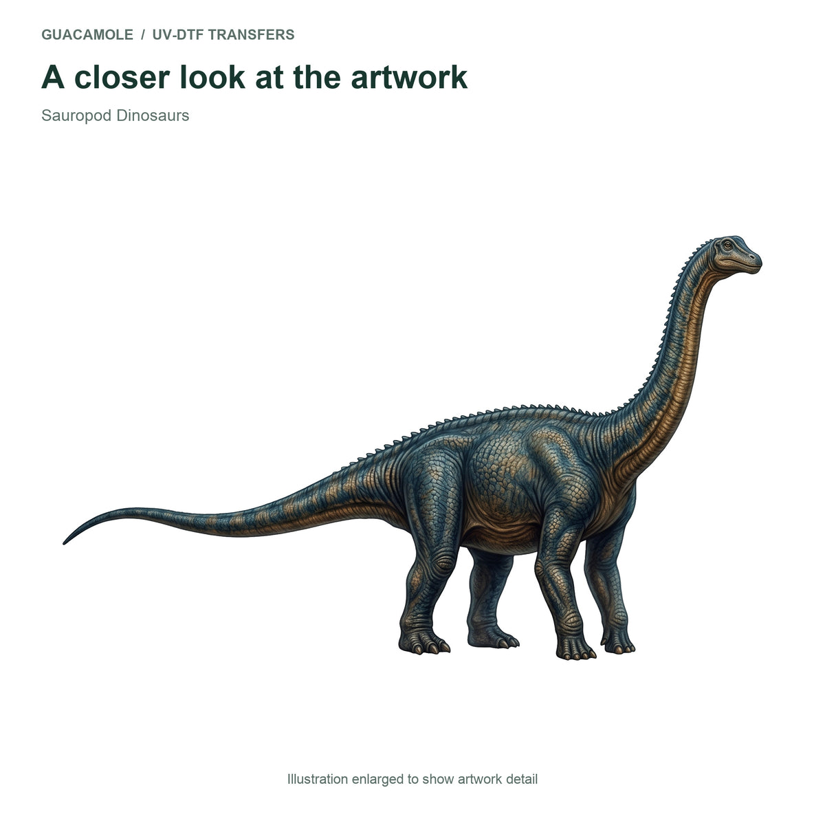 Sauropod Dinosaurs — Artwork detail