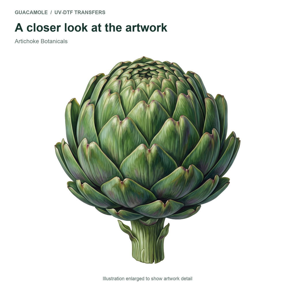 Artichoke Botanicals — Artwork detail