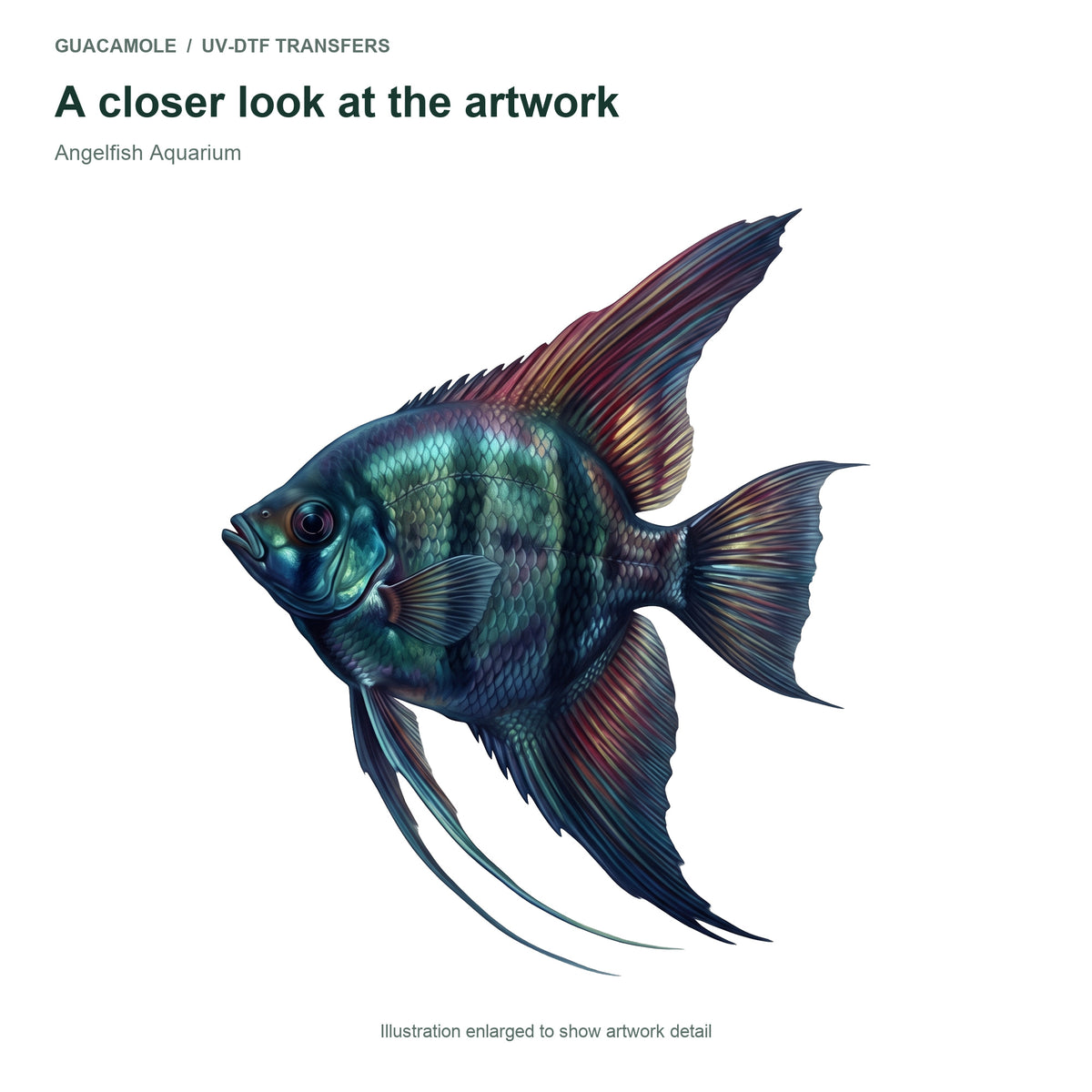 Angelfish Aquarium — Artwork detail