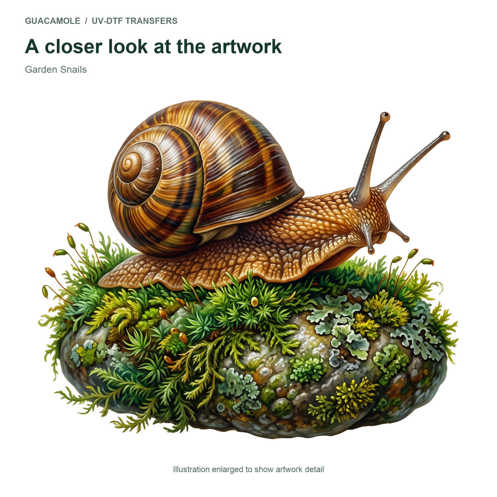 Garden Snails — Artwork detail